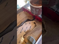 गहरे डालने वाले राल में चमकती चमक